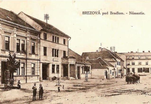 Penzion Tvarozek *** Brezová pod Bradlom Esterno foto